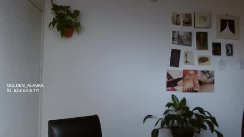 Alaska online show from 9, 11, 2025