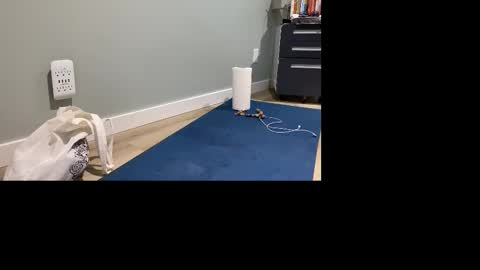 GoshLover online show from 4, 11, 2025