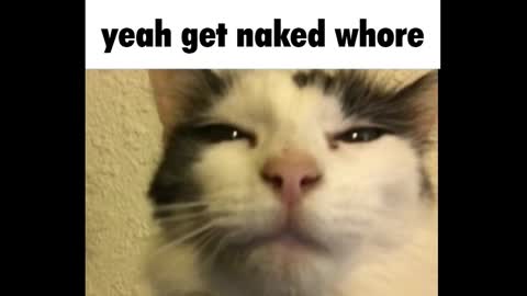 Amy online show from 3, 3, 2025