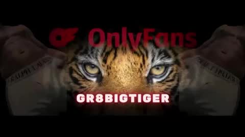 gr8bigtiger online show from 10, 10, 2025