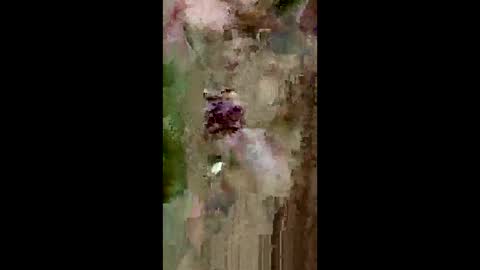 Snapshot of grabisz30 chatting on 11, 5, 2026 grabisz30 online show from 11, 5, 2026