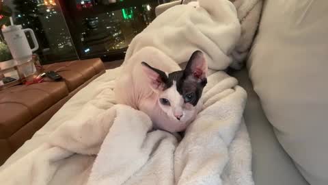 Snapshot of graciemae_baexx chatting on 23, 12, 2025 Gracie Mae online show from 23, 12, 2025