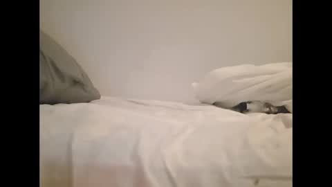 Snapshot of greekprince77 chatting on 2, 3, 2026 greekprince77 online show from 2, 3, 2026