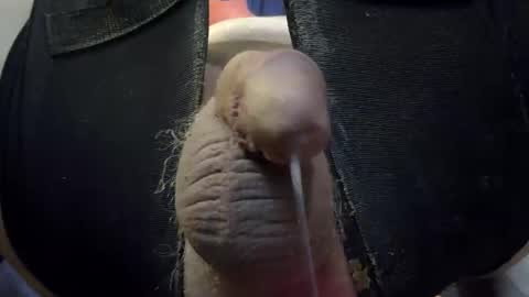 electrogee1 online show from 6, 4, 2026