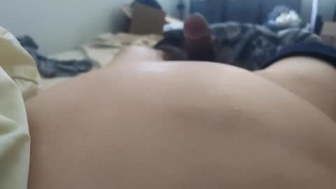 growingcubbear online show from 24, 2, 2026