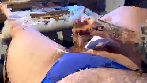 Snapshot of gt79802068 chatting on 11, 1, 2026 gt79802068 online show from 11, 1, 2026