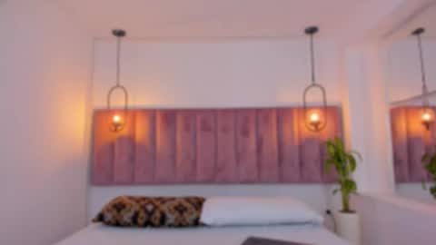 Haily online show from 8, 3, 2026