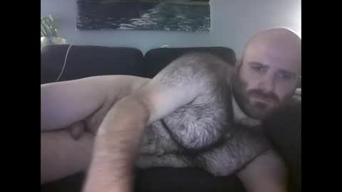 Hairiest Bear online show from 24, 5, 2026