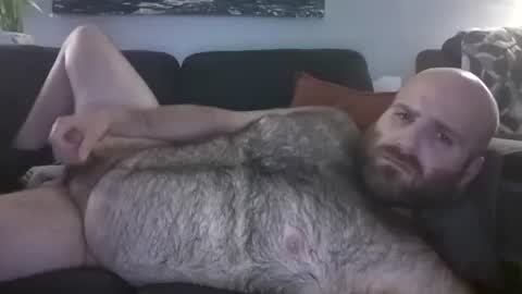 Hairiest Bear online show from 28, 5, 2026