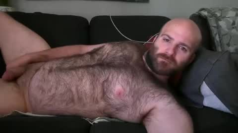 Hairiest Bear online show from 1, 6, 2026