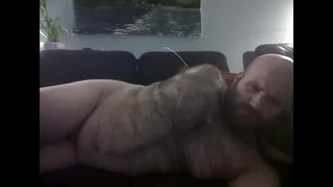 Hairiest Bear online show from 2, 6, 2026