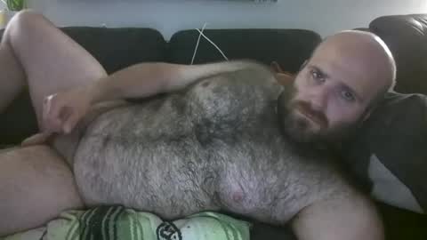 Hairiest Bear online show from 4, 6, 2026