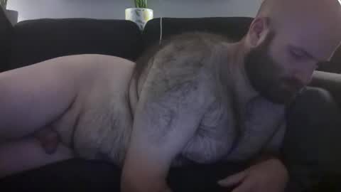Hairiest Bear online show from 8, 7, 2026