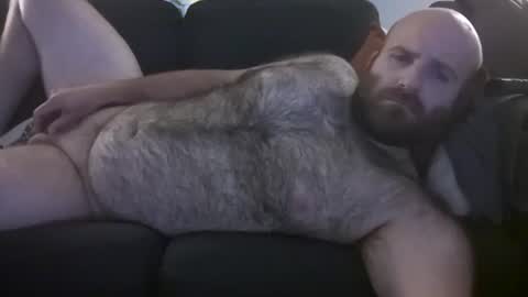 Hairiest Bear online show from 10, 7, 2026