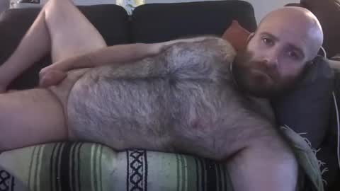 Hairiest Bear online show from 23, 7, 2026