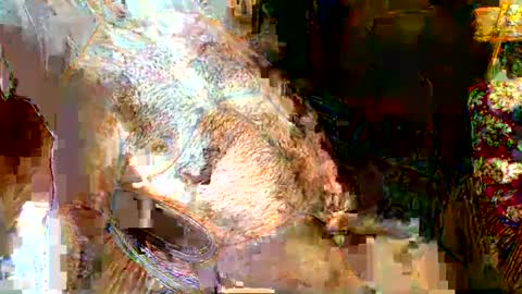 Snapshot of hairybear813 chatting on 5, 1, 2025 hairybear813 online show from 5, 1, 2025