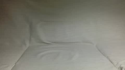 Snapshot of hairyguy288 chatting on 1, 4, 2026 hairyguy online show from 1, 4, 2026