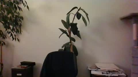 Snapshot of hairypussylover089 chatting on 24, 6, 2026 hairypussylover089 online show from 24, 6, 2026