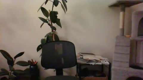 Snapshot of hairypussylover089 chatting on 12, 7, 2026 hairypussylover089 online show from 12, 7, 2026