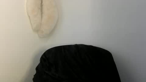 Snapshot of hairytonkas chatting on 8, 3, 2025 HairyTonkas online show from 8, 3, 2025