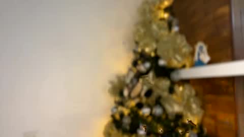 Independent       model  online show from 30, 12, 2024