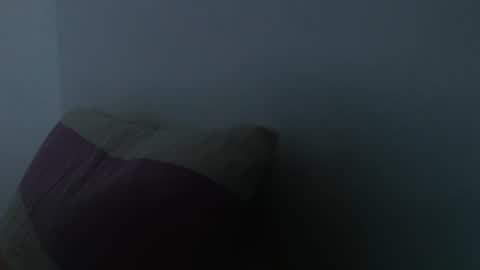 Snapshot of haled_77 chatting on 13, 1, 2026 haled_77 online show from 13, 1, 2026