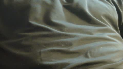 hamhead71 online show from 8, 12, 2024