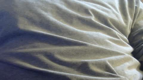 hamhead71 online show from 12, 1, 2025