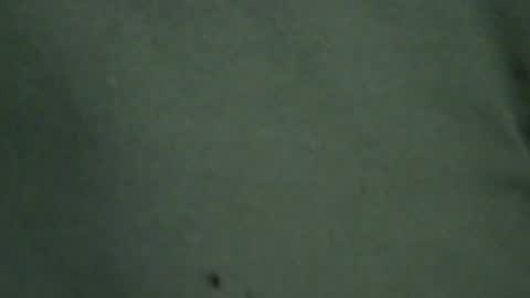 Snapshot of hamhead71 chatting on 20, 6, 2026 hamhead71 online show from 20, 6, 2026