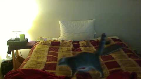 hammerthatthang73 online show from 3, 11, 2025