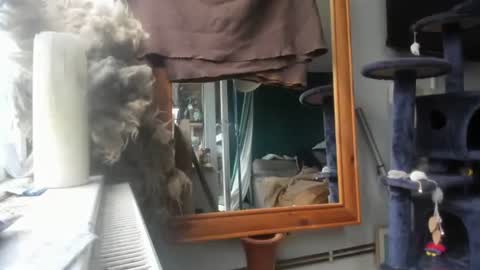 Snapshot of handncocknocum chatting on 9, 12, 2024 handncocknocum online show from 9, 12, 2024