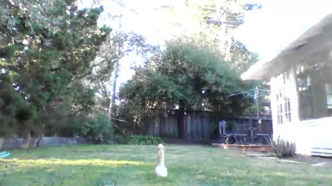 Snapshot of handysmurf chatting on 4, 12, 2024 HandySmurf online show from 4, 12, 2024