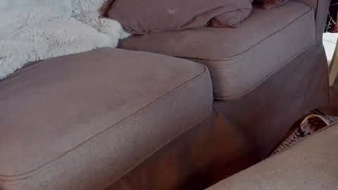 Handy Andy online show from 5, 7, 2026
