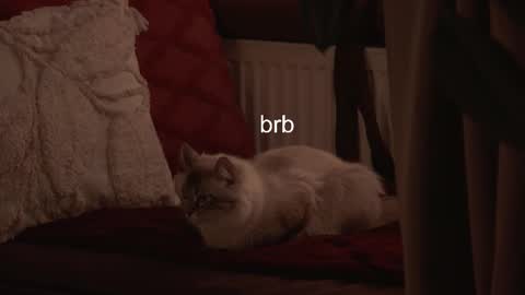 Snapshot of hannasthesia chatting on 3, 2, 2026 Hanna online show from 3, 2, 2026