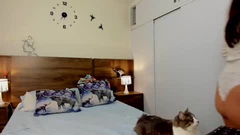 taylor live   online show from 3, 3, 2026