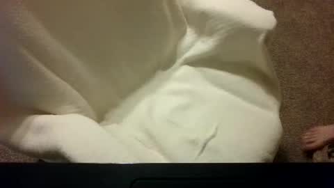 happychatdaddy online show from 3, 2, 2026