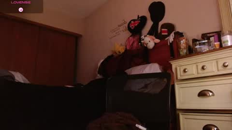 meatwad online show from 23, 12, 2025