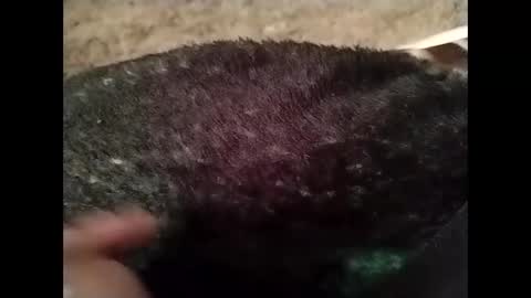 Snapshot of hardandhorny422 chatting on 13, 10, 2025 hardandhorny422 online show from 13, 10, 2025