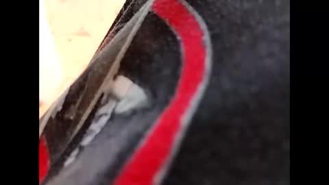 Snapshot of hardandhorny422 chatting on 16, 10, 2025 hardandhorny422 online show from 16, 10, 2025