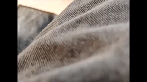 Snapshot of hardandhorny422 chatting on 30, 10, 2025 hardandhorny422 online show from 30, 10, 2025