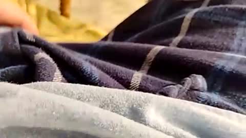 Snapshot of hardandhorny422 chatting on 30, 11, 2025 hardandhorny422 online show from 30, 11, 2025