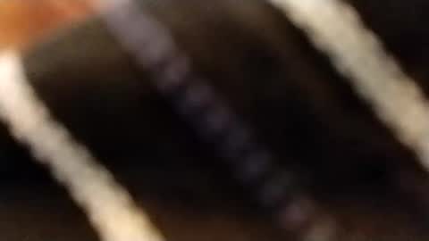 hardandhorny422 online show from 12, 2, 2026