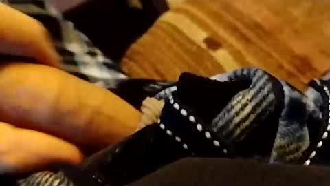 hardandhorny422 online show from 12, 4, 2026