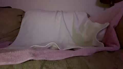 Snapshot of hardcock2622 chatting on 11, 2, 2026 Slim West Cox online show from 11, 2, 2026