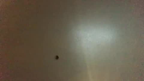 For You online show from 2, 12, 2024