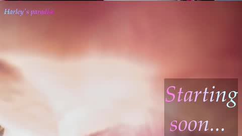 900 am to 300 pm - GTM 5 Weekdays online show from 14, 2, 2026