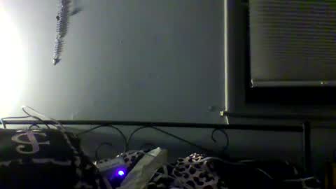 harleywestinc online show from 29, 3, 2026