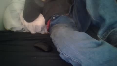 harry1cannary online show from 17, 4, 2026