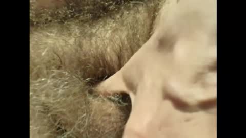 harry_banana online show from 30, 11, 2025