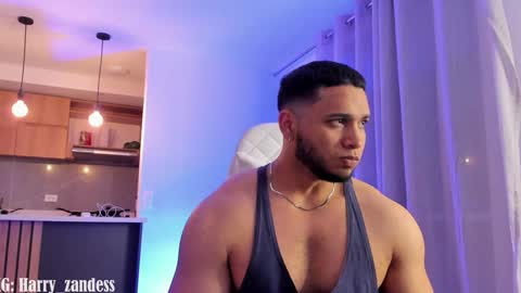 Harry Zandes online show from 29, 1, 2025